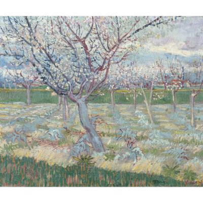 Gogh, V van - Apricot Trees in Blossom, 1888